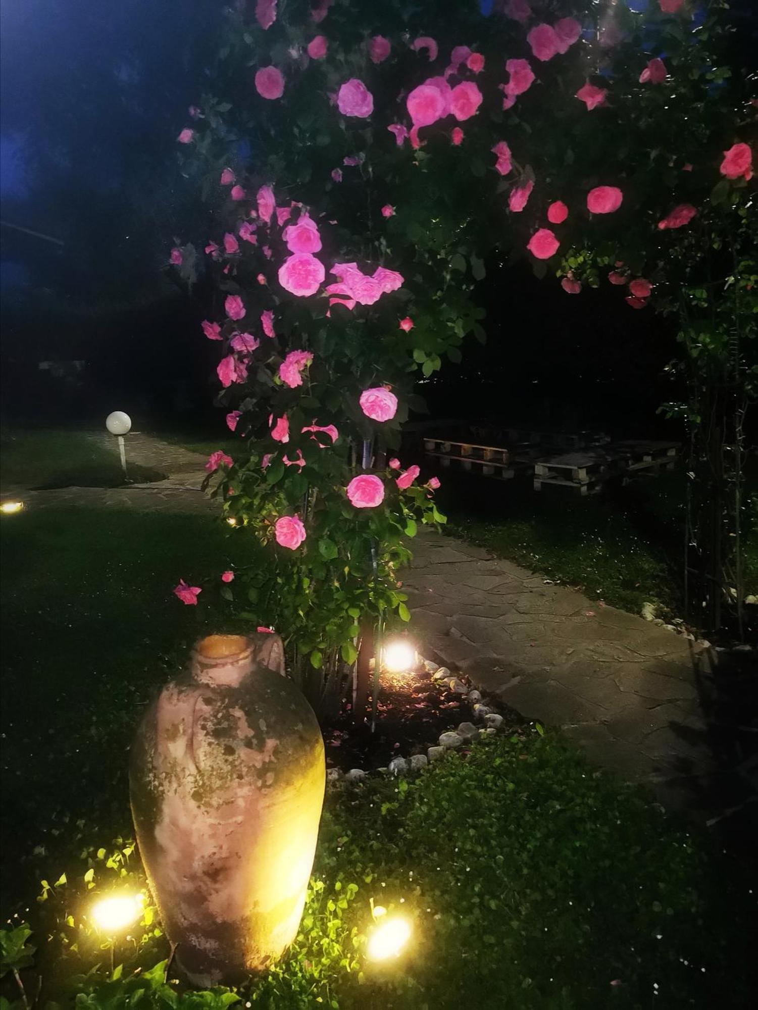 Acquachiara Iseo Deluxe Bed & Breakfast Iseo Center With Garden And Parking Inside Foresteria الغرفة الصورة