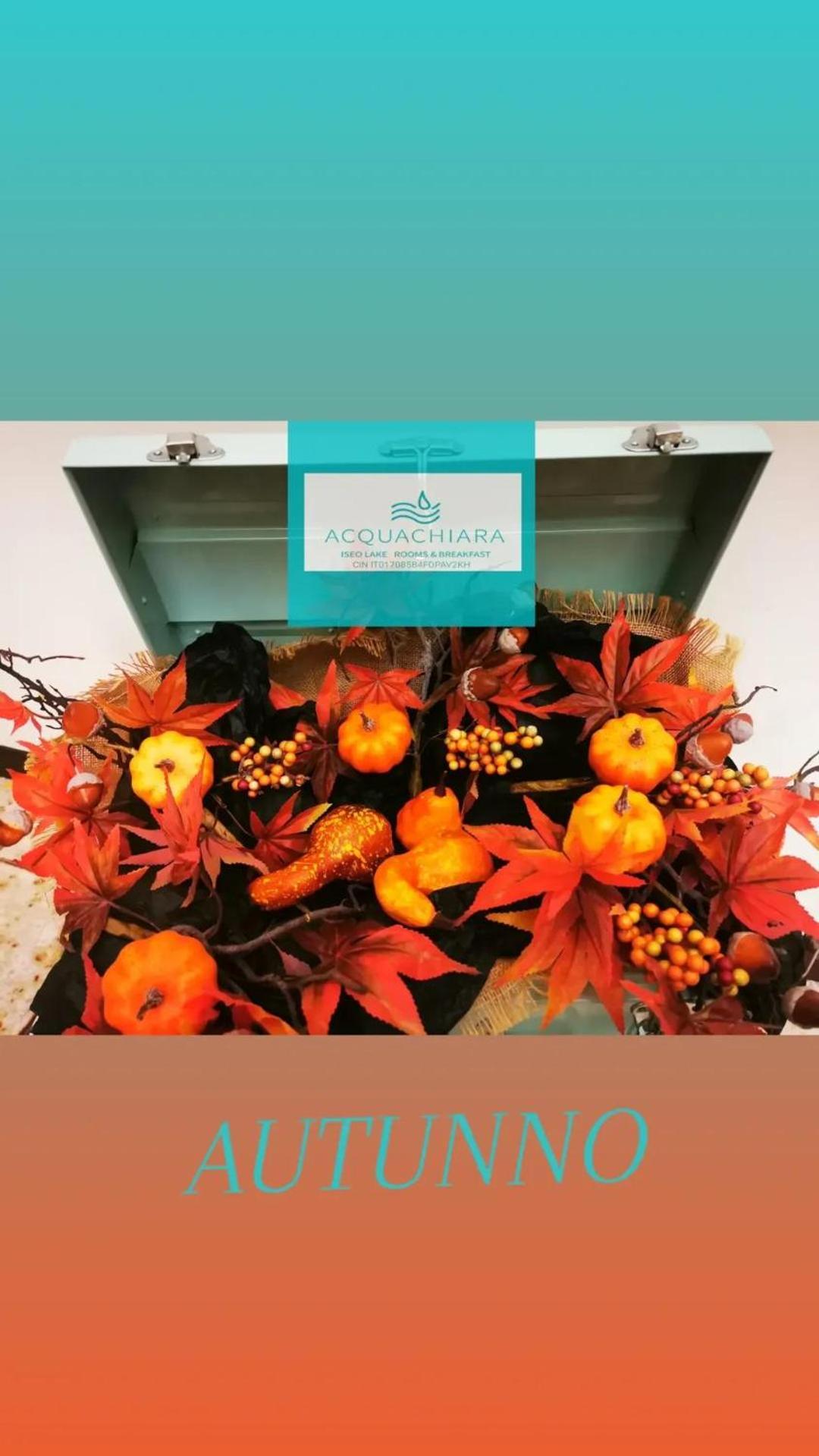Acquachiara Iseo Deluxe Bed & Breakfast Iseo Center With Garden And Parking Inside Foresteria المظهر الخارجي الصورة